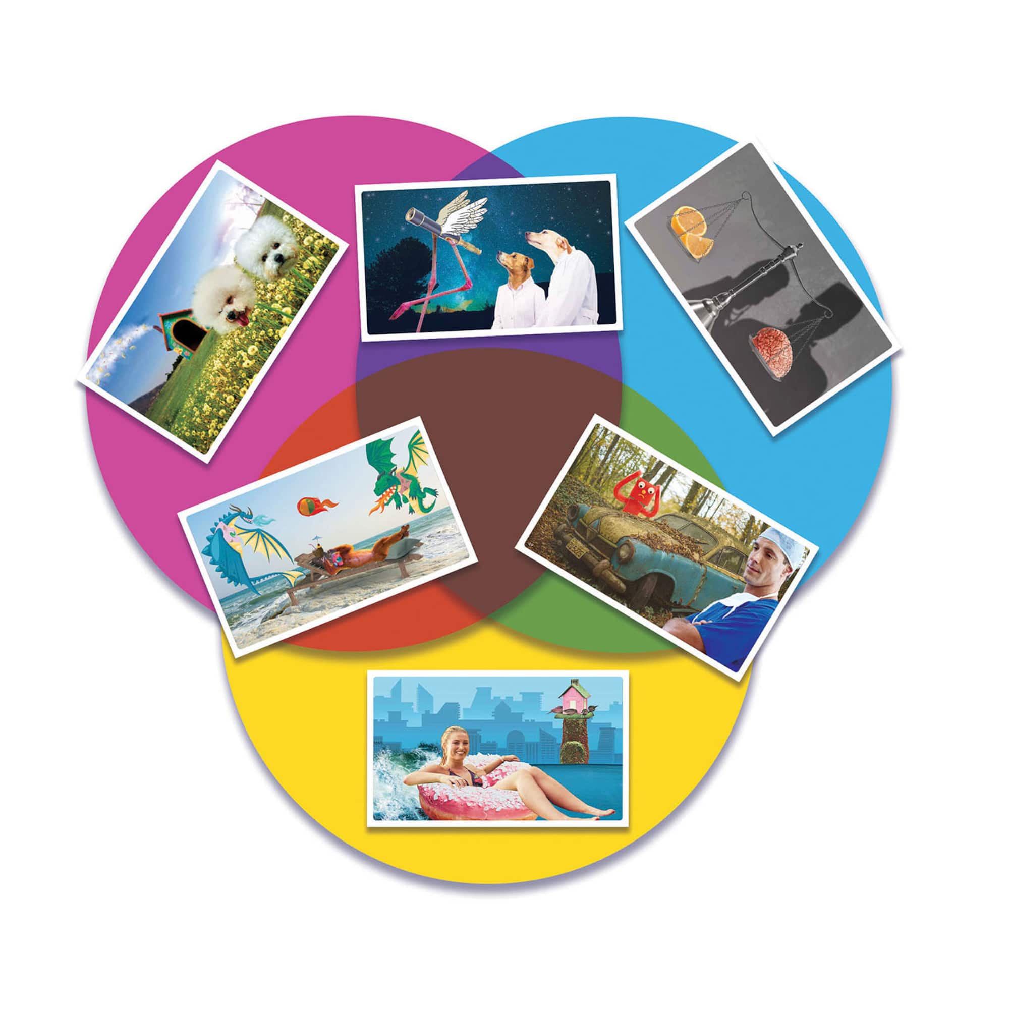 USAopoly VENN™ Game